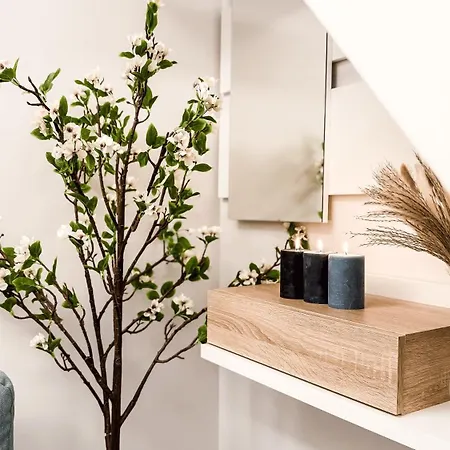 Serenity Chinatown Sarpi - Monolocale Yang Appartement